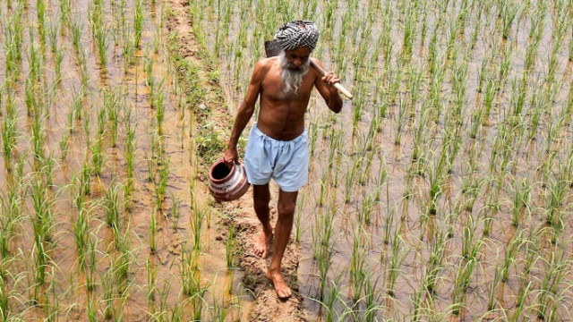 rain gods don 039 t hear us and modi has also turned deaf to our cries photo reuters rain gods don 039 t hear us and modi has also turned deaf to our cries photo reuters