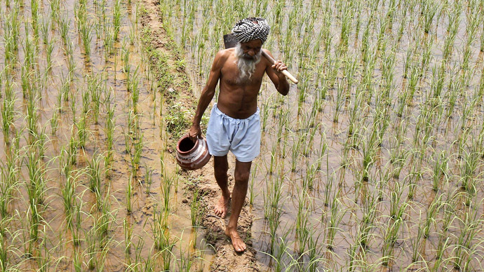 rain gods don 039 t hear us and modi has also turned deaf to our cries photo reuters