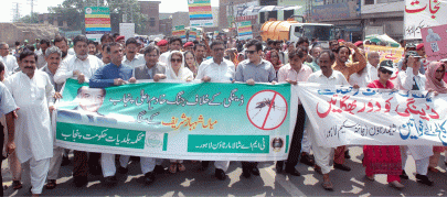 anti dengue walk in wapda town