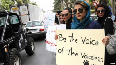 video of dogs being killed prompts protests in iran