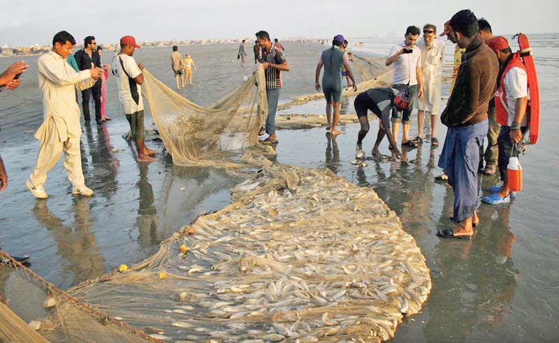 the fisheries department is establishing fishermen colonies in keenjhar manchhar and badin at a cost of rs482 million each colony has 100 housing units photo file