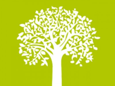 all hopes on the youth to protect the environment