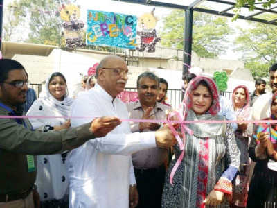 valuable addition ceremony held to name two bears at lahore zoo