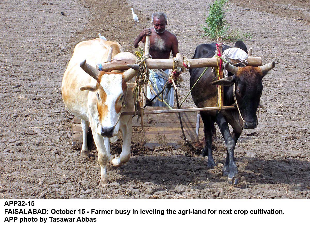 a farmer tilling the land ahead of next cultivation season photo app