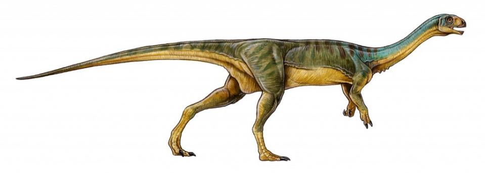 image released by the journal nature on april 27 2015 shows a dinosaur the chilesaurus diegosuarez from the late jurassic period photo afp