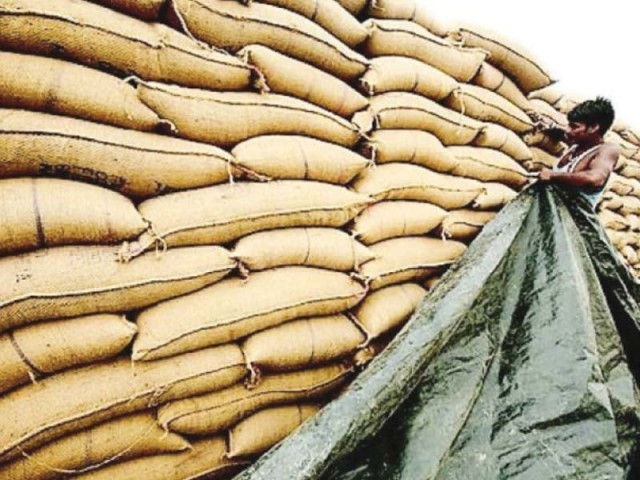 punjab hoarders exploiting wheat farmers punjab hoarders exploiting wheat farmers