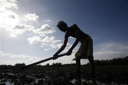 file photo of an indian farmer photo reuters