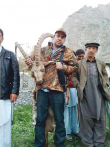 trophy hunting season s largest ibex hunted trophy hunting season s largest ibex hunted
