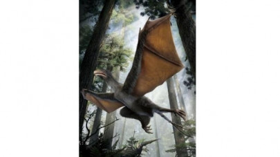 a pigeon size dinosaur with bat wings strange but true