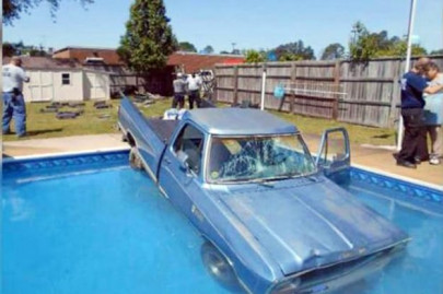 dog drives owner s car into swimming pool after jumping on accelerator pedal dog drives owner s car into swimming pool after jumping on accelerator pedal