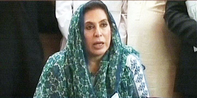 screengrab of dr fehmida mirza from the press conference screengrab of dr fehmida mirza from the press conference