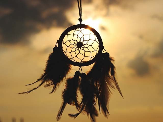 she is love to everyone she sees photo pinterest she is love to everyone she sees photo pinterest