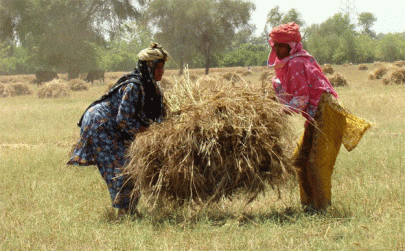 farmers complaints heard during minister s visit farmers complaints heard during minister s visit