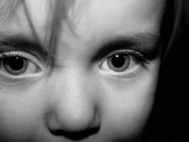photo creative commons photo creative commons
