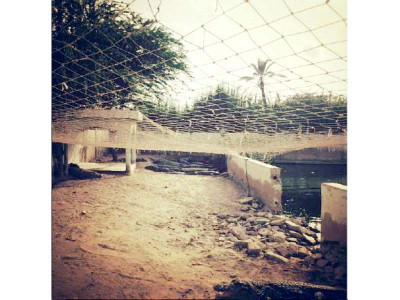 a pure soul the director s welcome to karachi