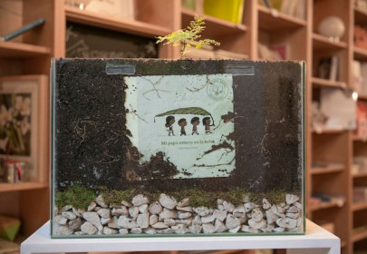 argentinian publisher makes books you can plant and grow back into trees