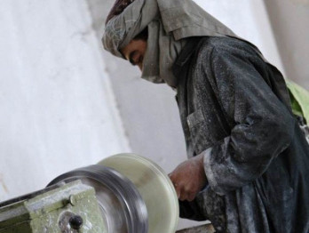 pcsir marble sector form technical working group