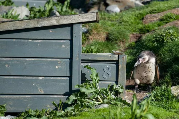 police charged five or six youths for endangering animals by breaking into the aquarium photo reuters police charged five or six youths for endangering animals by breaking into the aquarium photo reuters