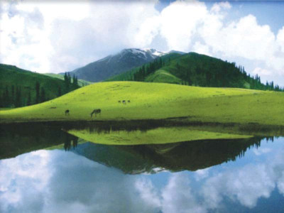 ali zafar s dream to culminate on the heights of deosai