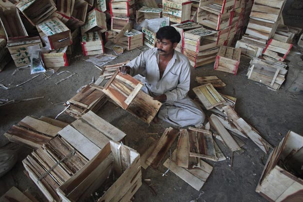 the ministry said that any export of fruit and perishable vegetable in wooden crates would means jeopardising markets in europe and the uae invaluable for pakistan s fruits photo reuters