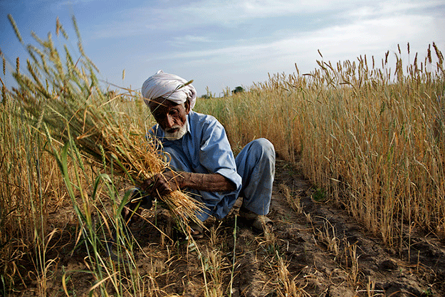 photo agricorner