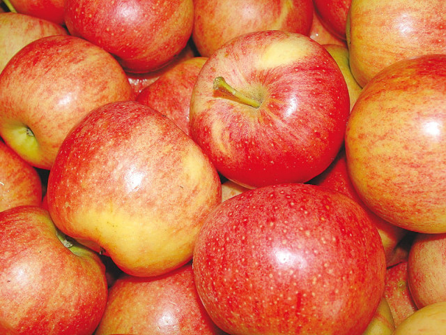 according to sources the government has launched a rs50 million project under which apple grading and packaging facilities will be established in ziarat and kalat districts stock image according to sources the government has launched a rs50 million project under which apple grading and packaging facilities will be established in ziarat and kalat districts stock image