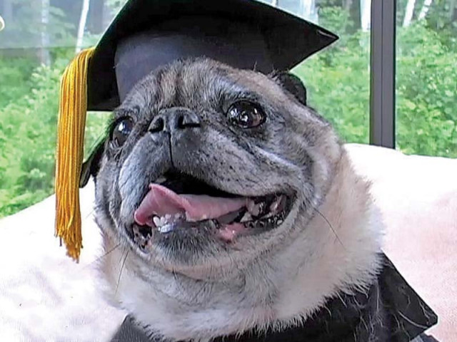 chester received the degree based on his life and work experience photo courtesy geteducated com