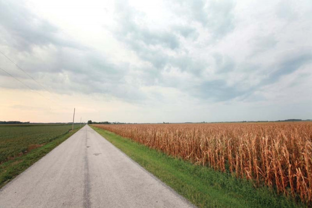 a source in the ministry of commerce said the government had managed to export only 175 000 tons of wheat so far photo afp a source in the ministry of commerce said the government had managed to export only 175 000 tons of wheat so far photo afp