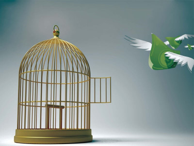 economic revival inflow of foreign capital steals the limelight