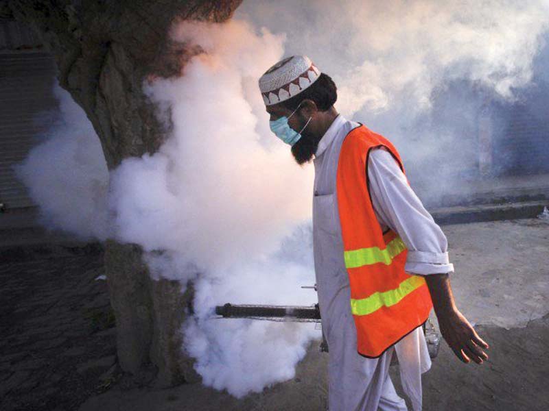 181 new dengue cases reported
