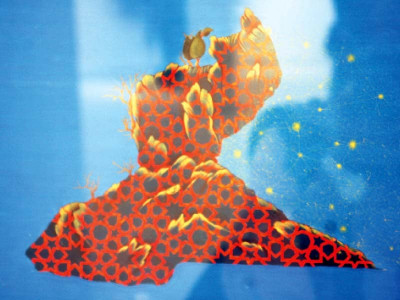 the process determines the final outcome the process determines the final outcome