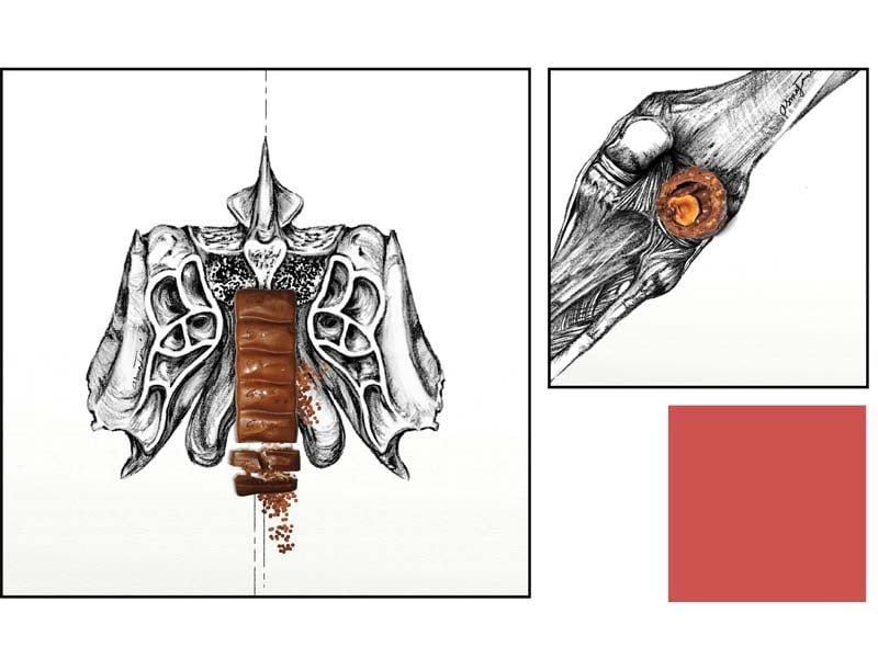 asma javeri s illustrations of the human anatomy married with milk chocolate have become the talk of the town photos courtesy asma javeri