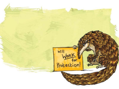 tackling wildlife smuggling better coordination with provinces needed minister