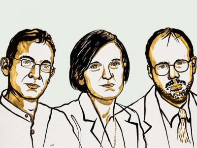 what can pakistan learn from this year s economics nobel prize winners what can pakistan learn from this year s economics nobel prize winners