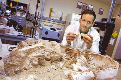 scientist says dinosaurs were warm blooded