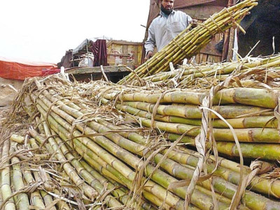 government gives in to demand of sugar millers