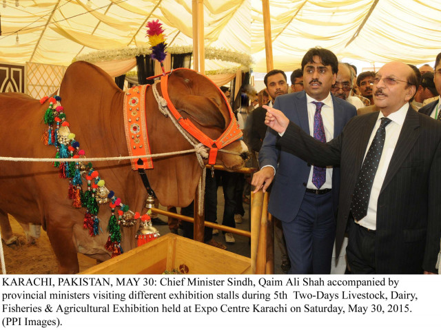sindh chief minister qaim ali shah visits stalls at the livestock dairy fisheries and agricultural exhibition at the expo centre in karachi photo ppi sindh chief minister qaim ali shah visits stalls at the livestock dairy fisheries and agricultural exhibition at the expo centre in karachi photo ppi
