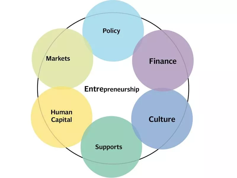 source daniel isenberg professor of entrepreneurship practice at babson college source daniel isenberg professor of entrepreneurship practice at babson college
