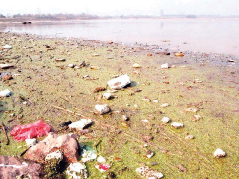 residents of nearby areas often throw garbage in the lake photo file