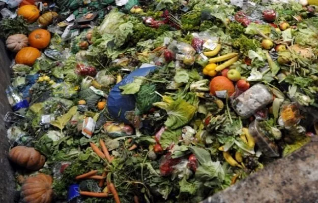 farmers advised to reduce waste material through better packaging photo express farmers advised to reduce waste material through better packaging photo express