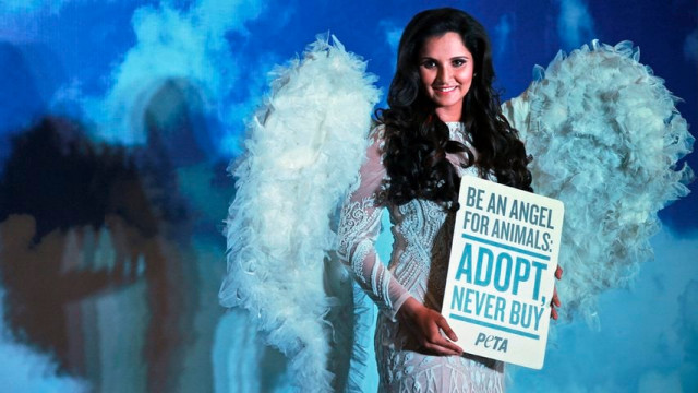 the professed animal lover sania mirza urges people to not buy pets but rather adopt stray and homeless animals photo hindustan times the professed animal lover sania mirza urges people to not buy pets but rather adopt stray and homeless animals photo hindustan times