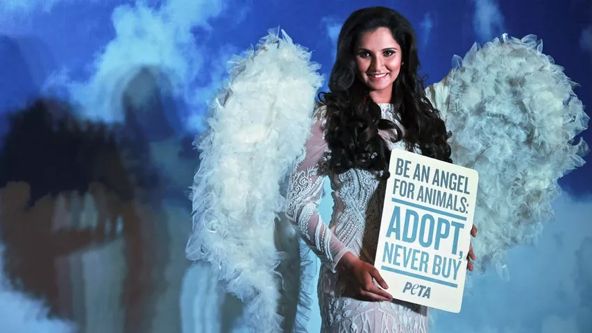 the professed animal lover sania mirza urges people to not buy pets but rather adopt stray and homeless animals photo hindustan times the professed animal lover sania mirza urges people to not buy pets but rather adopt stray and homeless animals photo hindustan times
