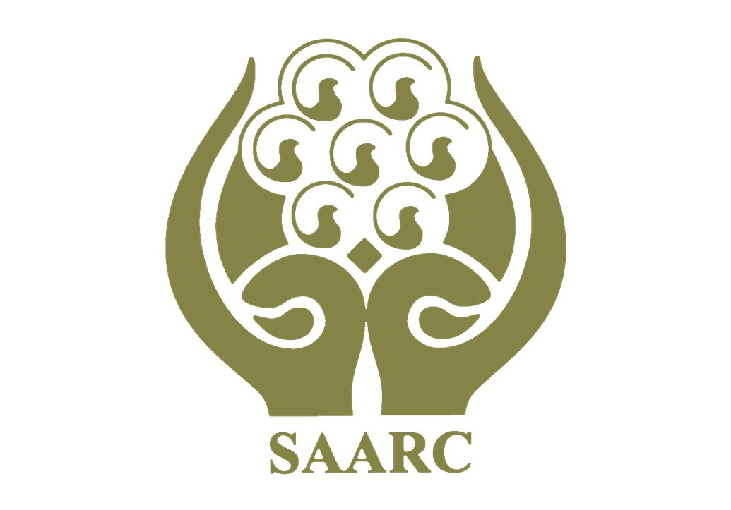 ipri president advocates full saarc membership for china photo online