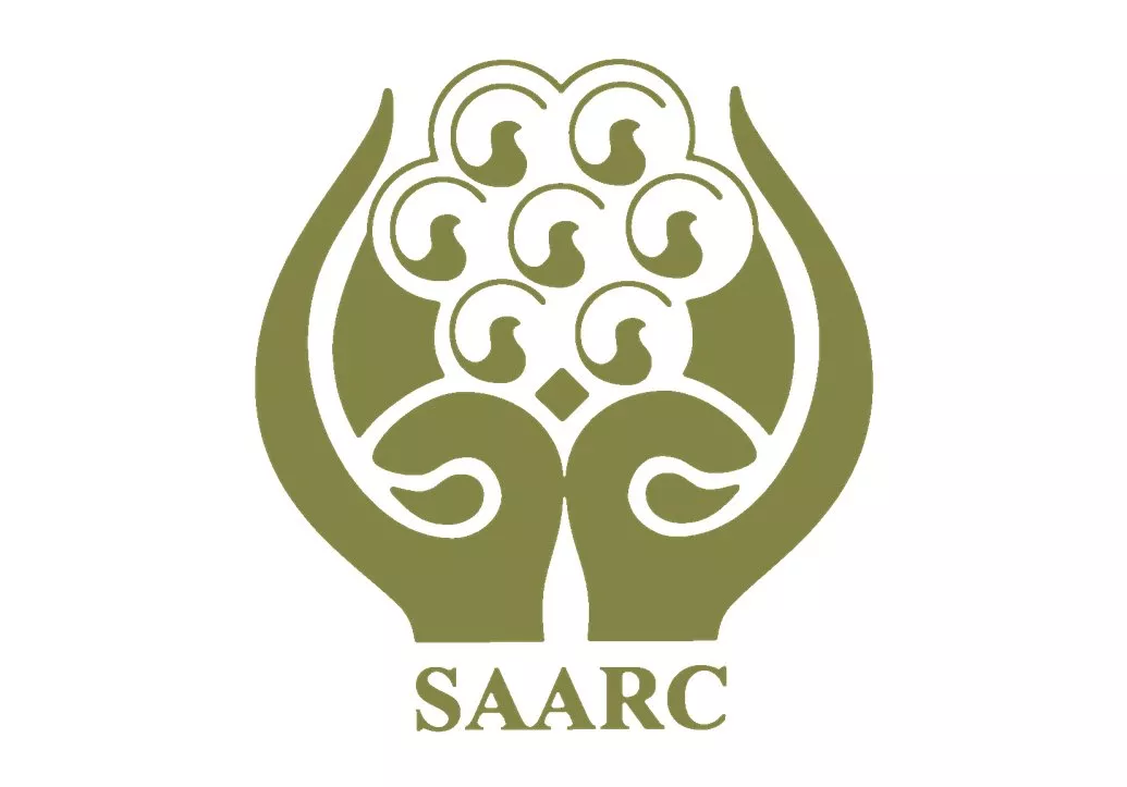 ipri president advocates full saarc membership for china photo online ipri president advocates full saarc membership for china photo online