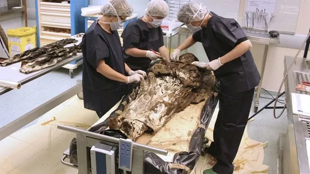 archeologists working at the rangueil forensic institute in toulouse on the exceptionally well preserved body of a noble woman from the xvii century photo afp archeologists working at the rangueil forensic institute in toulouse on the exceptionally well preserved body of a noble woman from the xvii century photo afp