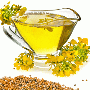 5 benefits of canola oil for a healthy lifestyle 5 benefits of canola oil for a healthy lifestyle