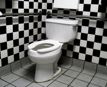 are toilets a human right are toilets a human right