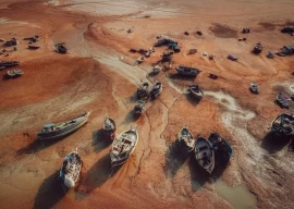 ghosts in the harbour