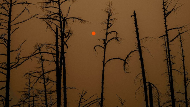 wildfires have ravaged this summer afp file wildfires have ravaged this summer afp file