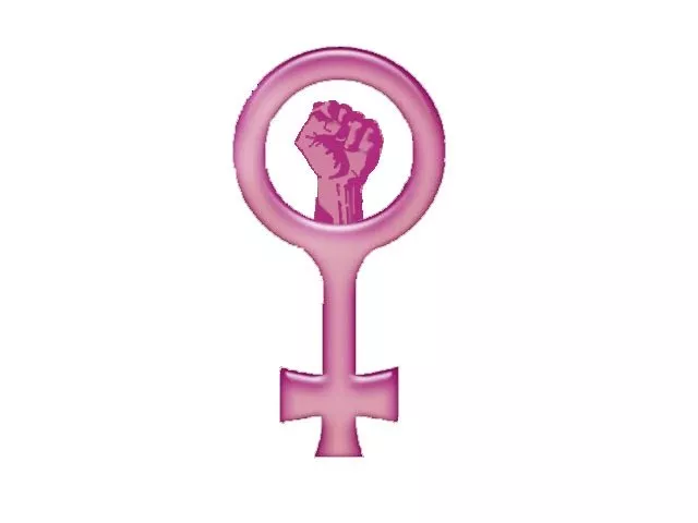 commission on status of women hails women protection bill photo file commission on status of women hails women protection bill photo file